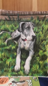 Great Dane