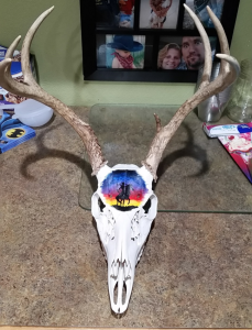 Native American Skull